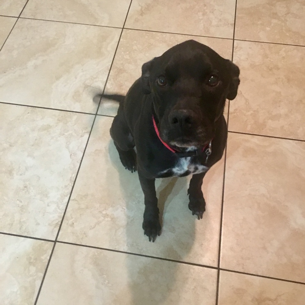 Please make me an offer I can’t refuse.